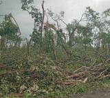 tornado type disaster in medaram area