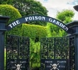 Poisonous plants garden