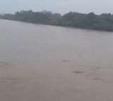 Godavari water level raising fastly