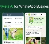 Meta Verified, customised messages arrive on WhatsApp for businesses in India