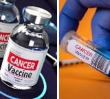 Cancer Breakthrough New Vaccine Stops Tumours In Their Tracks Prevents New Disease