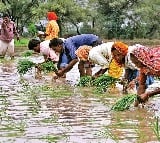 India sees healthy 8 pc increase in overall rainfall, positive for
 inflation outlook