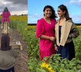 Mrunal Thakur’s laughter echoes as she seesaws through sunflower seas