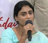 YS Sharmila Reacts CM Chandrababu Tirumala Laddu Animal Ghee Comments 