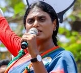 Sharmila demands CBI probe in Tirumala laddu case