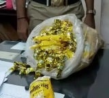 Ganja Chocolates Seized In Hyderabad