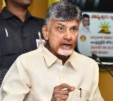 AP CM Chandrababu High Level Review On TTD Laddu Controversy