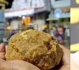 TTD to do Maha Shanthi Yagam at Tirumala