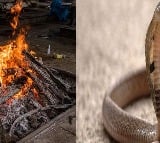 man died after a snake bite him in following which locals burnt the reptile alive on his funeral pyre