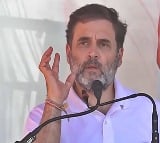 Rahul Gandhi to campaign in Haryana after Congress manages truce in state unit