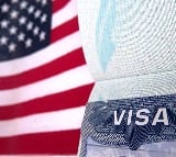 USA issued record level student visas