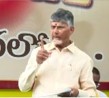 CM Chandrababu commebnts on Jagan in pension distribution program