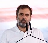 TN BJP wants ECI to 'ban' Rahul Gandhi’s election campaign