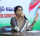 YS Sharmila on Supreme Court comments on Tirumala Laddu