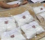 Delhi Police Seized More Than 500 Kg Of Cocaine 