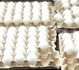 Fear about eggs spiking cholesterol levels ‘unwarranted’: Experts