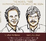 US scientists awarded 2024 Nobel Prize in Medicine for microRNA discovery