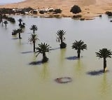 Lake Iriqui in Sahara desert had been dry for 50 years was filled by the rainfall in images from NASA satellites