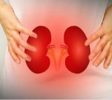 Study explains how PFAS exposure worsens kidney function