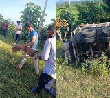 Truck carrying wild animals overturn sin Telangana, escaped crocs recaptured