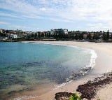 Australia: Debris that forced closure of Sydney beaches identified as 'tar balls'