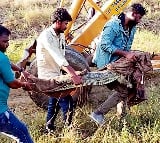 Vehicle which is carrying crocodiles and white tiger overturned