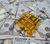 Foreign exchange reserves drop $10.7 billion to $690.43 billion