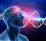 Australian study discovers genetic link between brain volume & disorders