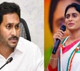 Y.S. Sharmila accuses brother Jagan of depriving her of property