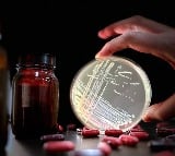 Study links common antibiotic to rise of dangerous superbug