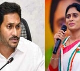 Jagan has not transferred my share in family assets: Sharmila