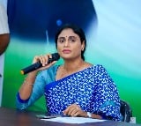 Sharmila slams YV Subbareddy on assets issue