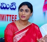 Sharmila counter attack on Vijayasai Reddy