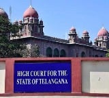 telangana high court Key comments On pub culture