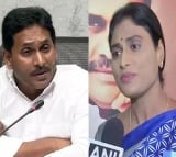 Sharmila responds on Jagan bail cancelation arguments