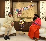 Baba Ramdev meets AP CM Chandrababu