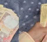 invalid Rs 500 and Rs 1000 notes found by woman during Diwali cleaning