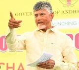 CM Chandrababu press meet at Rushikonda palace