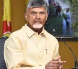 Chandrababu on Electric Shock Incident in Undarajavaram