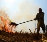 Centre doubles penalty for stubble burning amid rising air pollution in Delhi-NCR