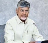 cm chandrababu review on nominated posts