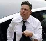 tesla shares surge 14 as trump win sets stage for elon musks ev firm