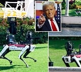 Trump Adds Robot Dogs To Security Detail Amid Iranian Assassination Plot