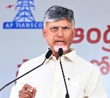 Chandrababu wishes who gets nominated posts