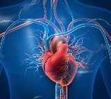 Even moderate exercise for over 2 hours every week may boost heart health