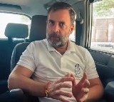 Rahul Gandhi apologies to people of Maha's Chikhli after plane glitch forces rally cancellation