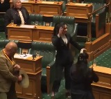 New Zealand MP Leads Traditional Dance Rips Up Copy Of Bill In Parliament