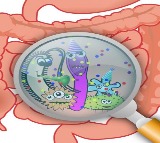 Study explains mechanisms behind food poisoning, gut infections