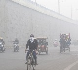 Delhi government orders half of its employees to work from home amid pollution