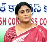 YS Sharmila demands to arrest Avinash Reddy